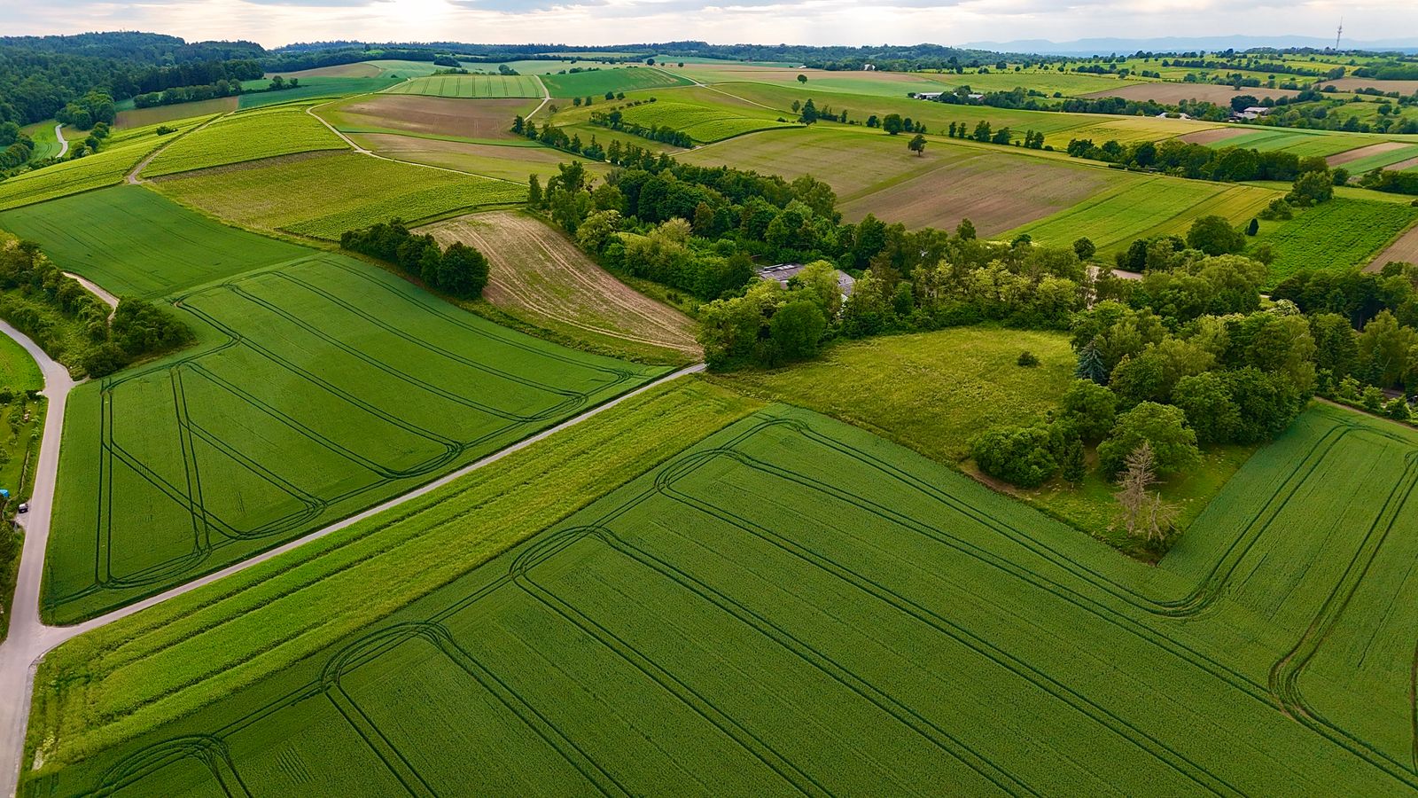 Expansive rolling farmland with green fields and tree-lined boundaries